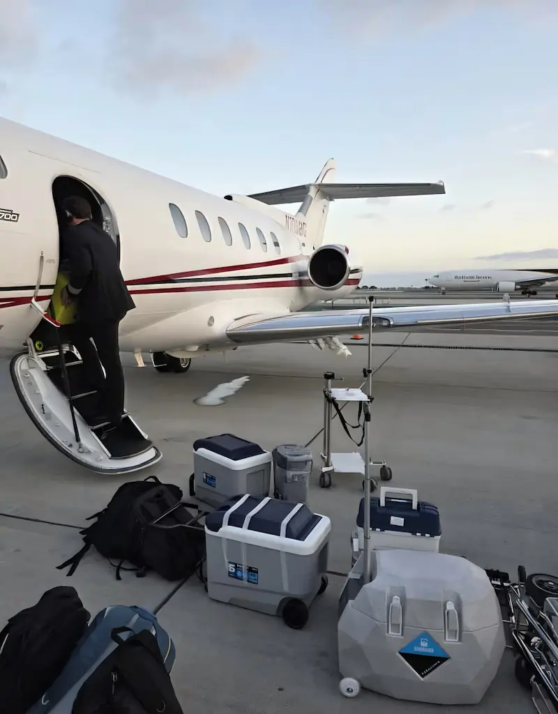 Organ procurement team transported by black car in San Diego