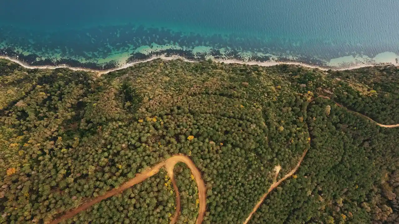 Torrey Pines State Natural Reserve with coastal bluffs and ocean views.